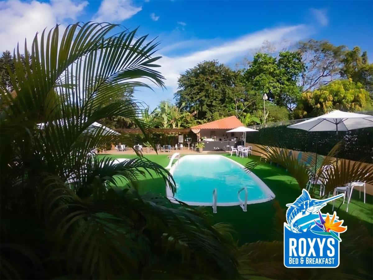 Roxy'S Bed & Breakfast Boca Chica Exterior foto